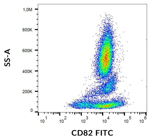 Anti-Hu CD82 FITC