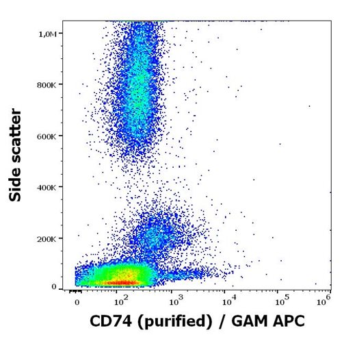 Anti-Hu CD74 Purified