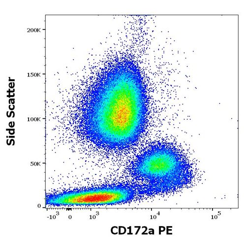 Anti-Hu CD172a PE