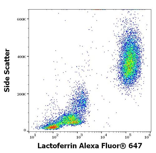 Anti-Lactoferrin Alexa Fluor<sup>®</sup> 647