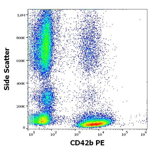 Anti-Hu CD42b PE