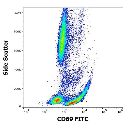 Anti-Hu CD69 FITC