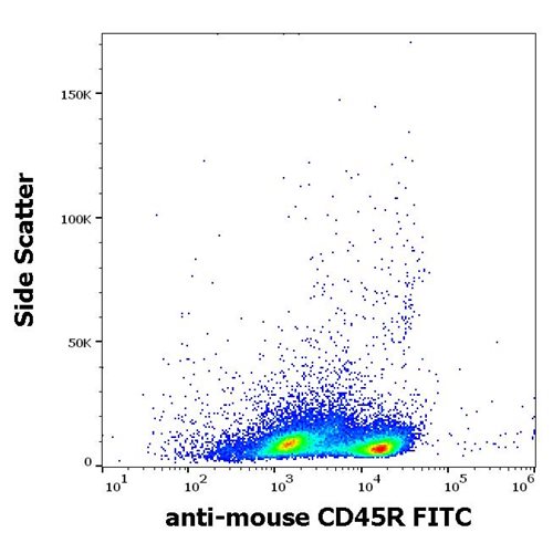 Anti-Ms CD45R FITC