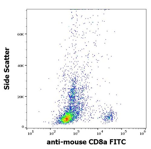 Anti-Ms CD8a FITC