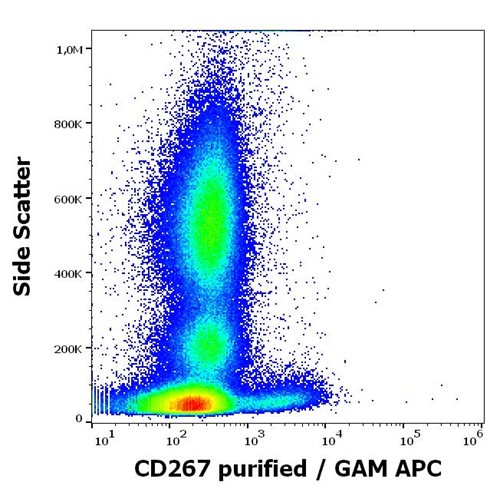 Anti-Hu CD267 Purified