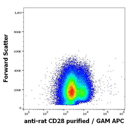 Anti-Rt CD28 Purified Low Endotoxin