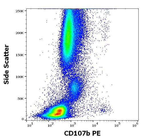 Anti-Hu CD107b PE