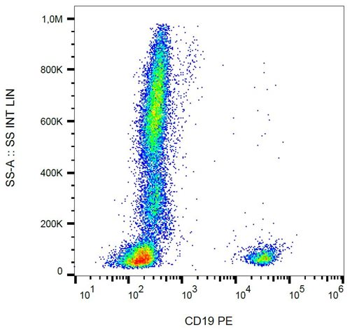 Anti-Hu CD19 PE