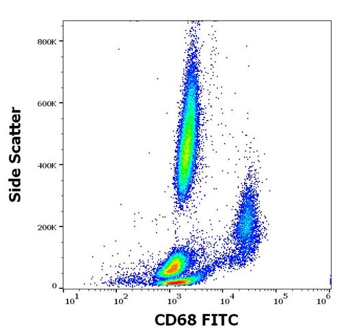 Anti-Hu CD68 FITC