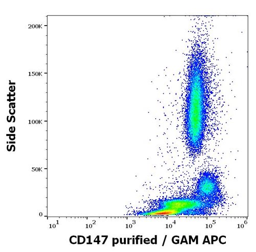 Anti-Hu CD147 Purified