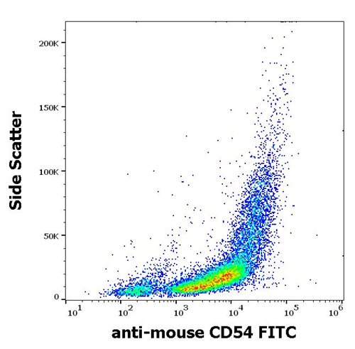 Anti-Ms CD54 FITC