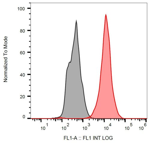 Anti-p53 FITC