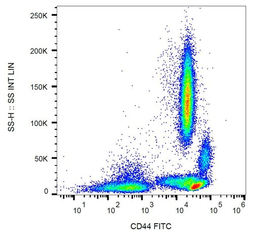 Anti-Hu CD44 FITC