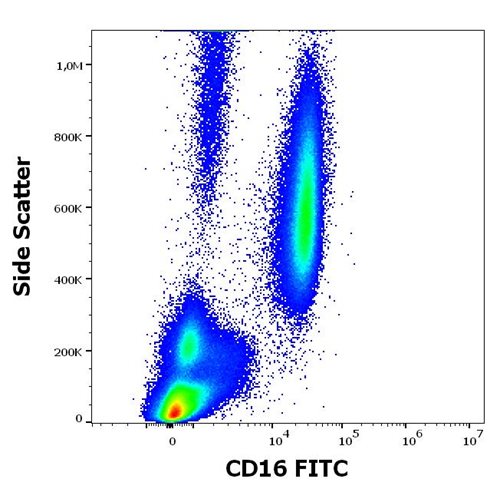 Anti-Hu CD16 FITC