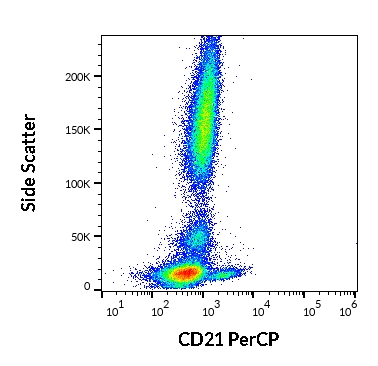 Anti-Hu CD21 PerCP