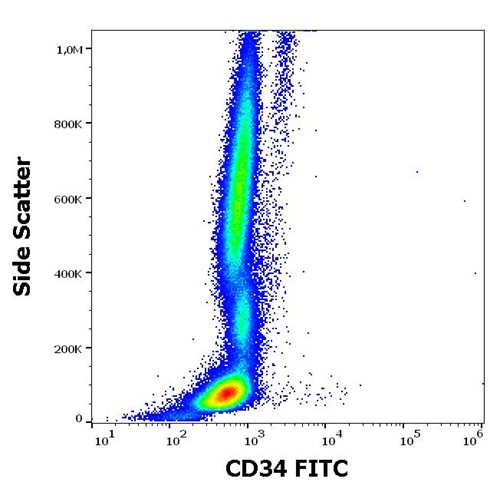 Anti-Hu CD34 FITC