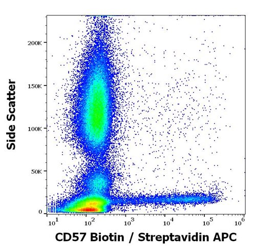 Anti-Hu CD57 Biotin