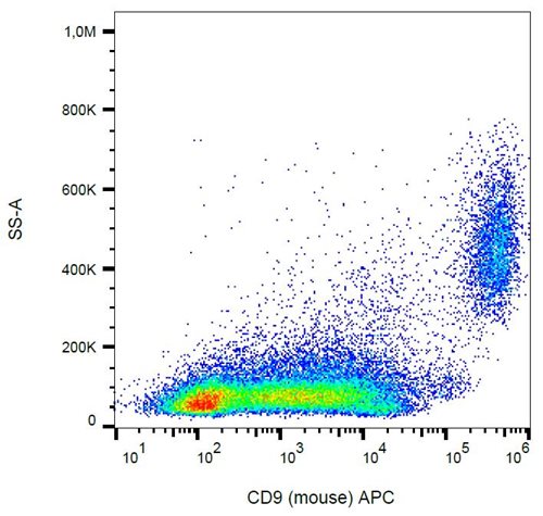 Anti-Ms CD9 APC