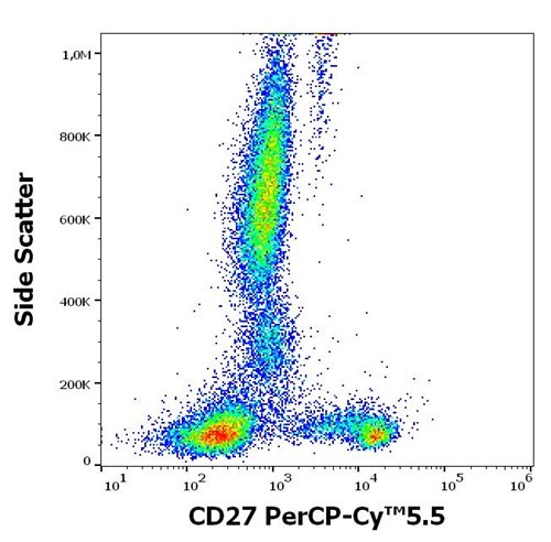Anti-Hu CD27 PerCP-Cy™5.5