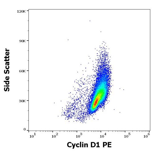 Anti-Cyclin D1 PE