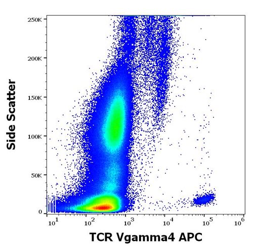 Anti-Hu TCR Vgamma4 APC