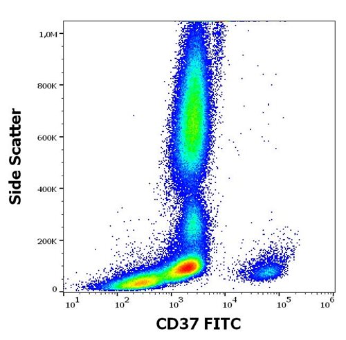 Anti-Hu CD37 FITC