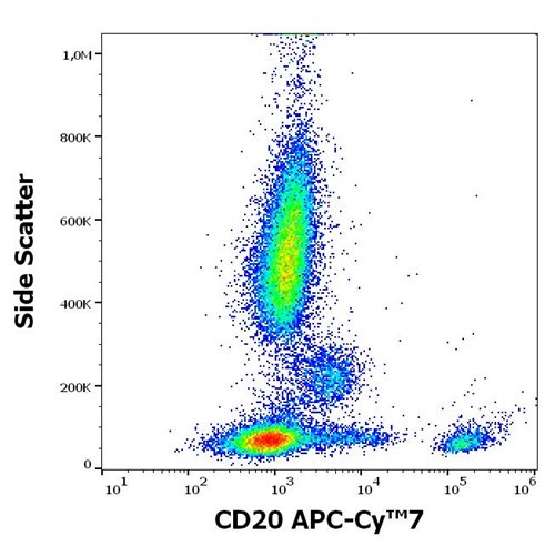 Anti-Hu CD20 APC-Cy™7