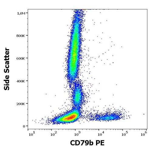 Anti-Hu CD79b PE