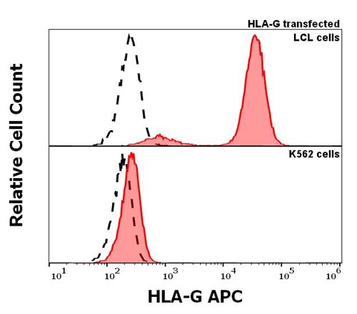 Anti-HLA-G APC