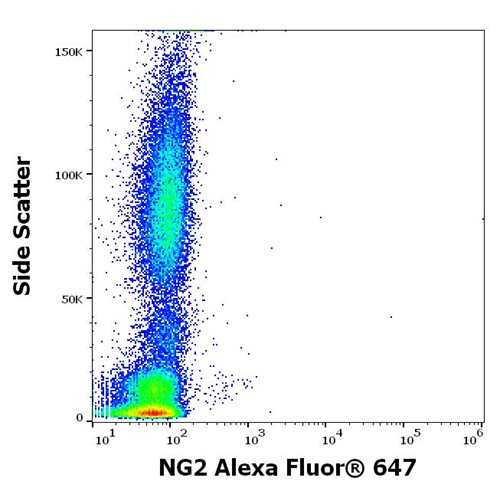 Anti-NG2 Alexa Fluor<sup>®</sup> 647