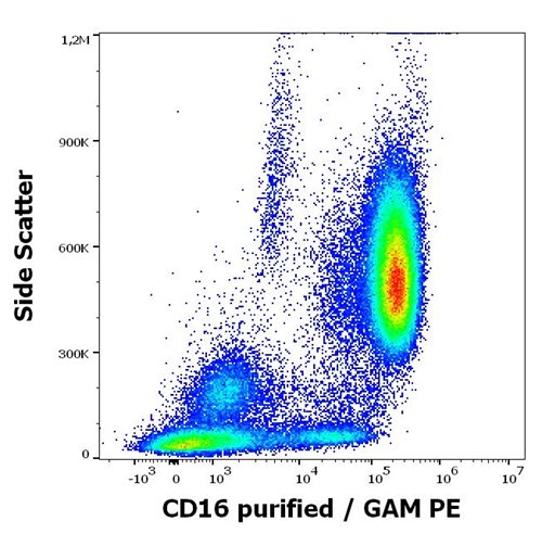 Anti-Hu CD16 Purified