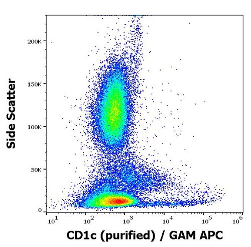 Anti-Hu CD1c Purified