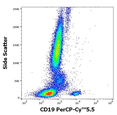 Anti-Hu CD19 PerCP-Cy™5.5