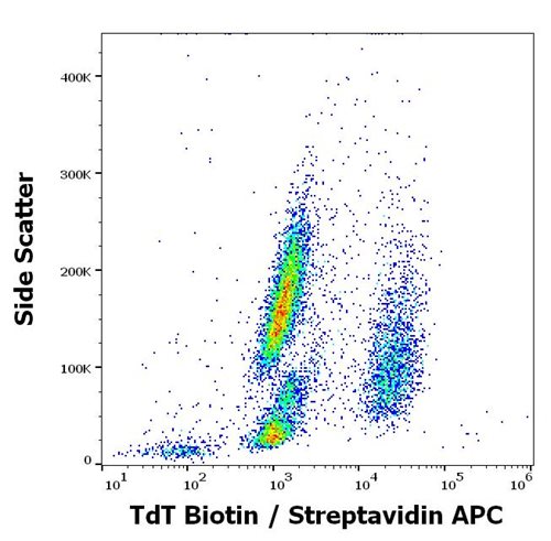 Anti-Hu TdT Biotin