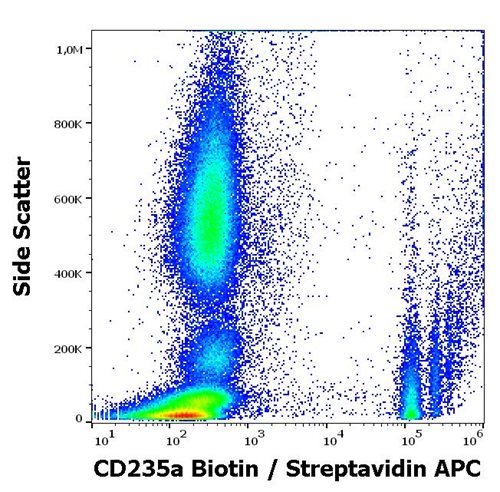 Anti-Hu CD235a Biotin