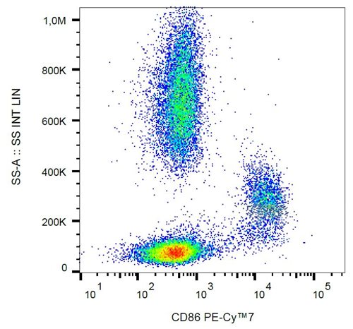 Anti-Hu CD86 PE-Cy™7