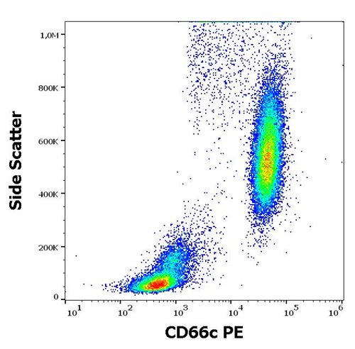 Anti-Hu CD66c PE