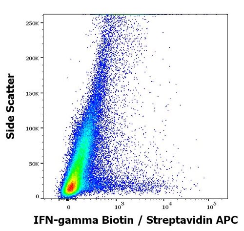 Anti-IFN gamma Biotin