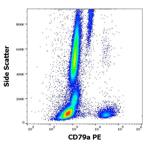 Anti-Hu CD79a PE