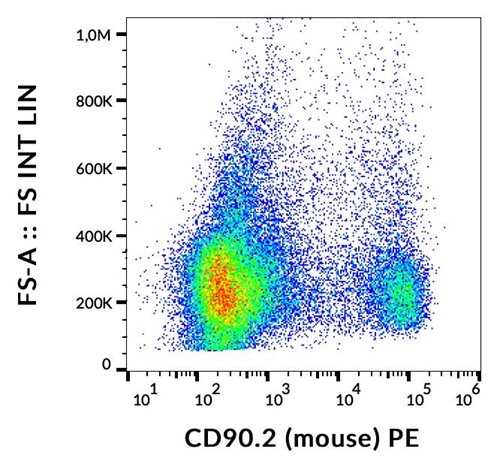 Anti-Ms CD90.2 PE