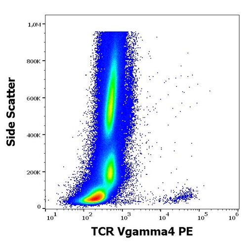 Anti-Hu TCR Vgamma4 PE