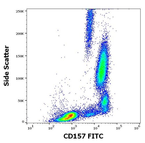 Anti-Hu CD157 FITC
