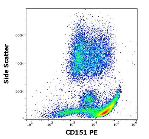 Anti-Hu CD151 PE