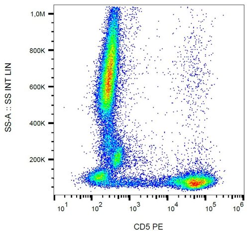 Anti-Hu CD5 PE