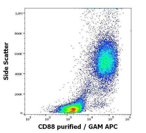 Anti-Hu CD88 Purified