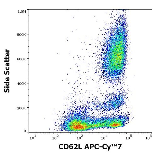Anti-Hu CD62L APC-Cy™7