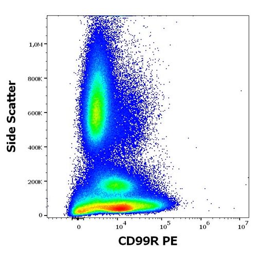 Anti-Hu CD99R PE