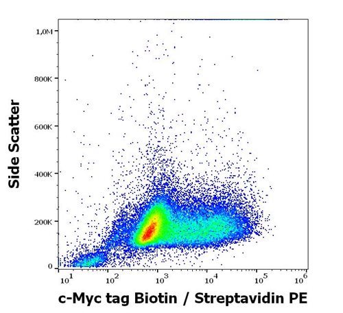 Anti-c-Myc tag Biotin