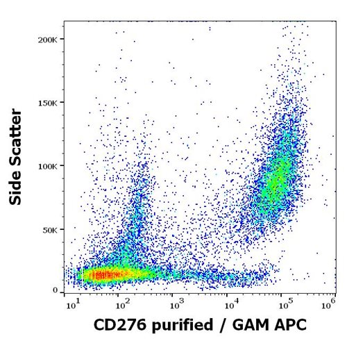 Anti-Hu CD276 Purified