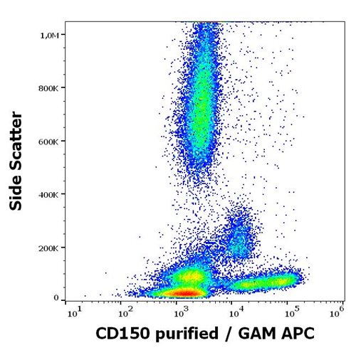 Anti-Hu CD150 Purified Azide Free